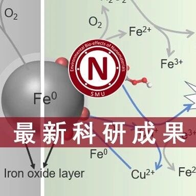 祝贺刘安丽和张志雪的论文在Chemical Engineering Journal发表配图