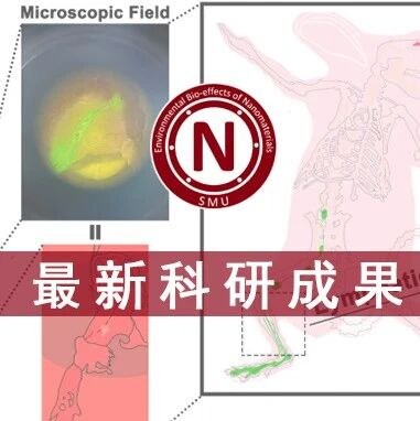 祝贺张纯的论文在Colloids and Surfaces B: Biointerfaces发表配图